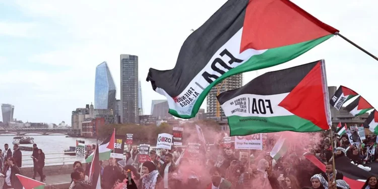 القرارات الدولية.. وتغيير آليات التضامن الشعب الفلسطيني