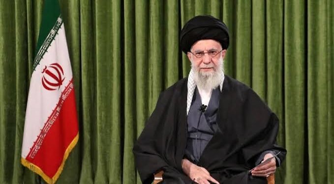 ورق الجوافة «كنز صحي».. تعرف على فوائده للجسم