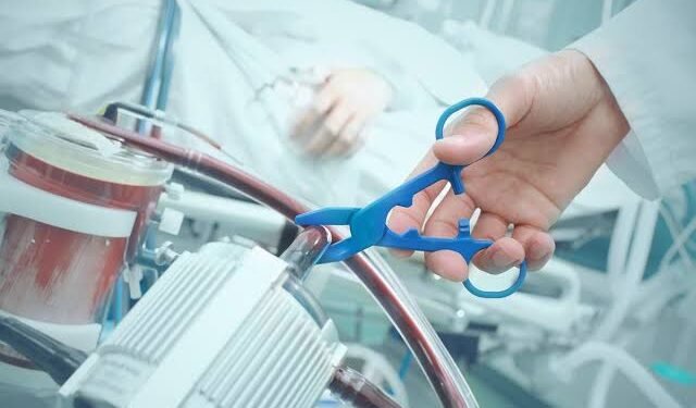 القتل الرحيم يثير الجدل في أوروبا والبعض يعتبرها «حقاً مشروعاً»