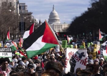 palestine usa