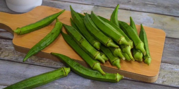 البامية.. سر رشاقتك وخسارتك الوزن دون مجهود!