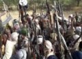 بعد هزيمته في الشرق الأوسط، تنظيم الدولة الإسلامية يعاود الظهور في أفريقيا