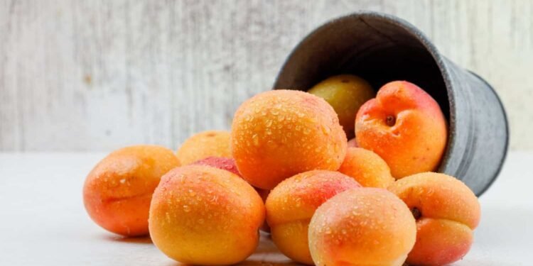 فوائد المشمش.. جوهرة صغيرة تغذي الجسم