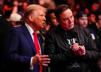 president elect donald trump and elon musk