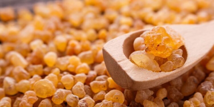 منقوع اللبان الدكر.. فوائد سحرية لمعدتك وجهازك الهضمي