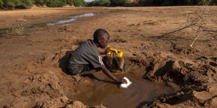 بعد مرور عقدين من الزمن، لا تزال الرؤية الزراعية في أفريقيا غير محققة