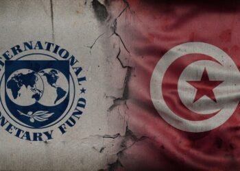 Cover Article FMI Tunisie DSK