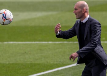 Zidane Bleus 1