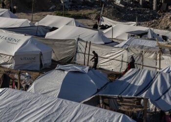 10int gaza assess hwcv mobileMasterAt3x