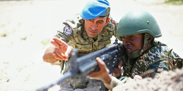 تركيا القوة الإقليمية الجديدة في أفريقيا