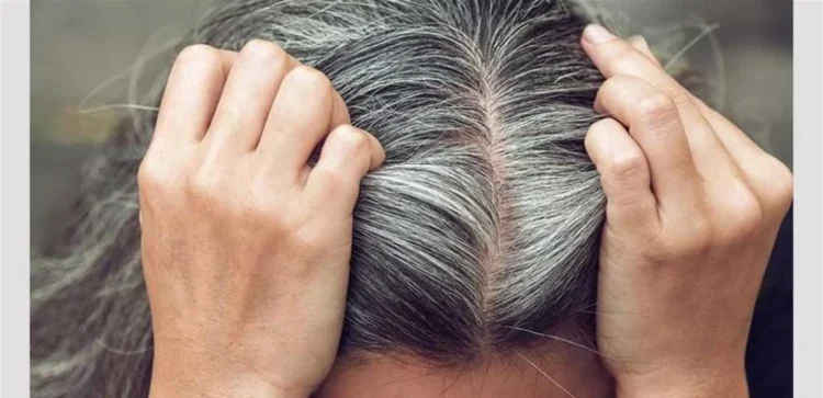 بدون صبغة.. أطعمة طبيعية تحارب الشعر الأبيض وتعيد لمعانه