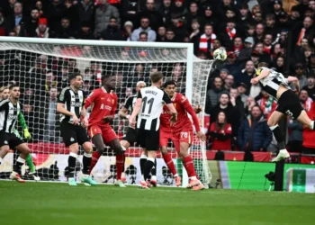 dan burn newcastle united f 980355452