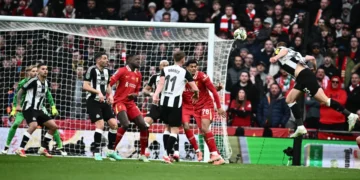 dan burn newcastle united f 980355452