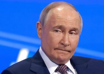 russian president vladimir putin attends 980790460