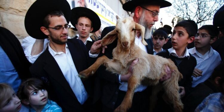 هل ستتجرأ المنظمات اليهودية على ذبح القرابين في حرم المسجد الأقصى