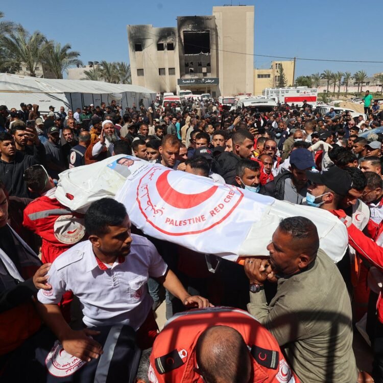 15int gaza autopsies kzlq mobileMasterAt3x