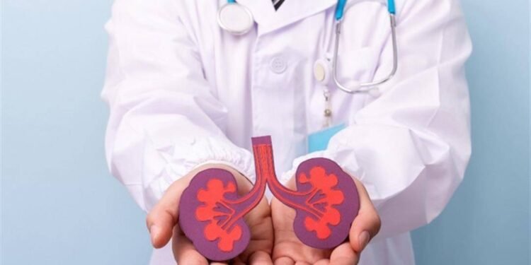 عادات يومية تدمر الكلى بصمت.. احذرها قبل فوات الأوان!