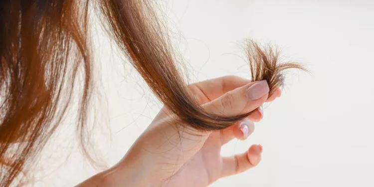 أسباب بهتان الشعر وكيفية استعادة لمعانه وحيويته