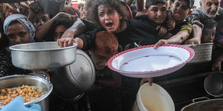 غزة تختنق جوعاً.. والاحتلال يمنع الغذاء