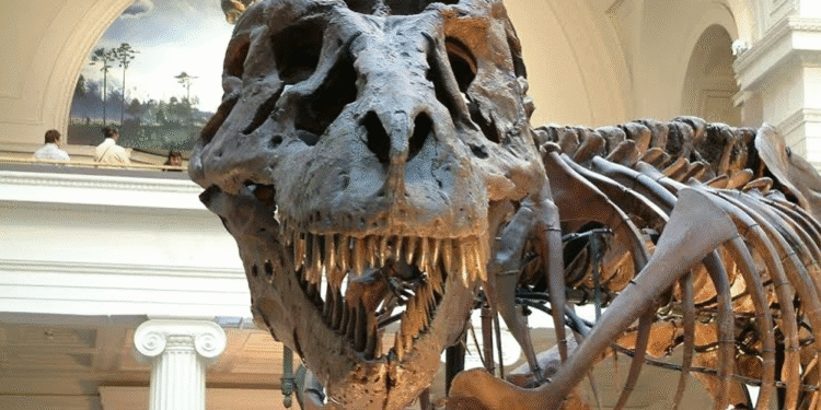 حفريات ديناصورات تكشف عن مفاجآت بخصوص كوكب الأرض