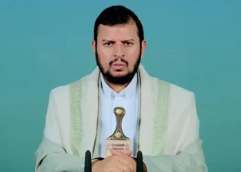 شسيسيبسيد 1743786383