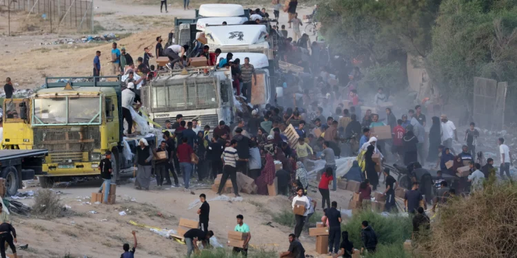 مساعدات تحت فوهة البندقية.. “مؤسسة غزة” الأميركية أداة لإطالة الإبادة