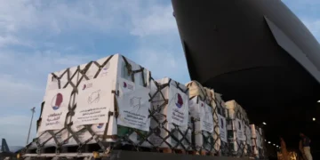 Gea3aG4XQAAAe7k 1733819288