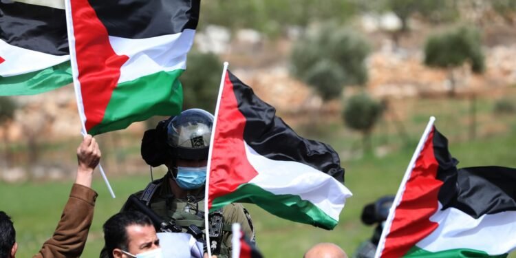 الأمم المتحدة تحذر من خطة استراتيجية لتفريغ الأراض الفلسطينية