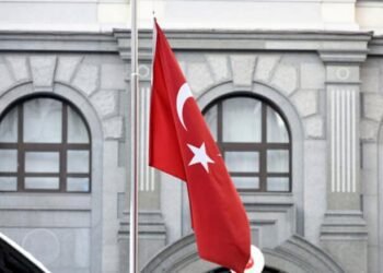 الحكم على صحفي سويدي بتركيا.. بتهمة إهانة أردوغان!