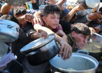 فوضى المساعدات.. كيف تُسرق الحياة في غزة؟