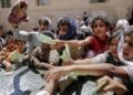 الجوع يفتك بجنوب اليمن.. والأمم المتحدة تحذر من كارثة إنسانية واسعة النطاق