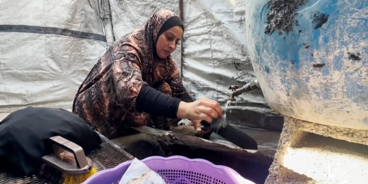 وهيبة محيسن.. قصة أم من غزة فقدت أحبابها في الحرب