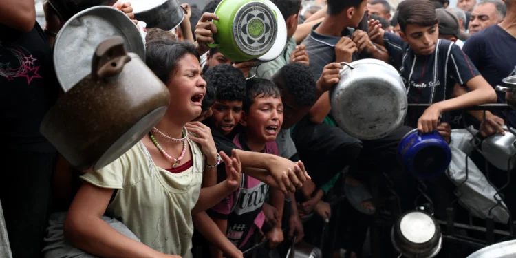 غزة تحترق جوعًا.. نداء عاجل من برنامج الأغذية العالمي لوقف إطلاق النار