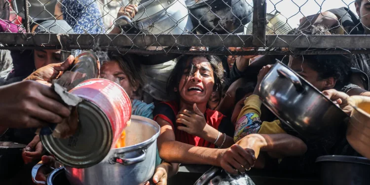 المساعدات في غزة.. صراع على لقمة العيش