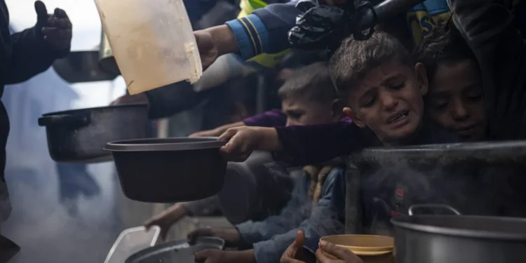 الأمم المتحدة تحذر: غزة تواجه تجويع جماعي ممنهج وقتل بلا قتال