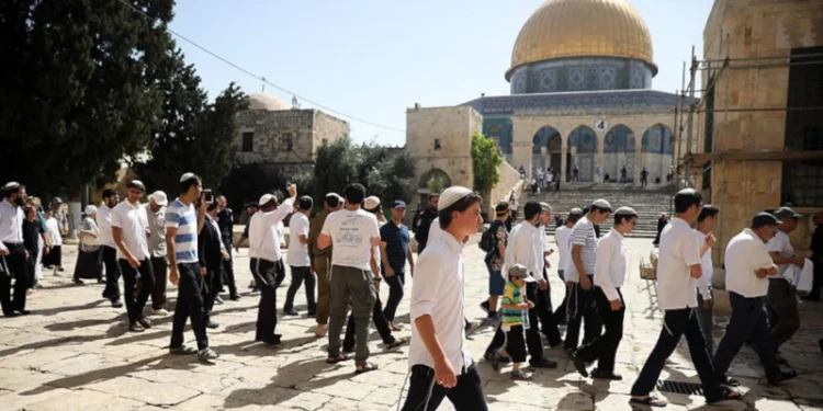 فتوح يحذر من انفجار شامل: نقل صلاحيات الحرم الإبراهيمي للمستوطنين كارثة