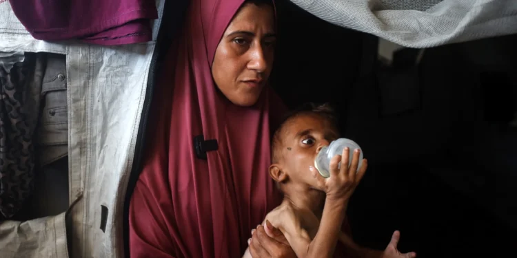 أين ذهبت المساعدات؟.. حليب الرضع نموذج لانهيار المنظومة الإنسانية في غزة