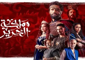 مملكة الحرير.. ابنة كريم محمود عبد العزيز تفاجئ الجمهور