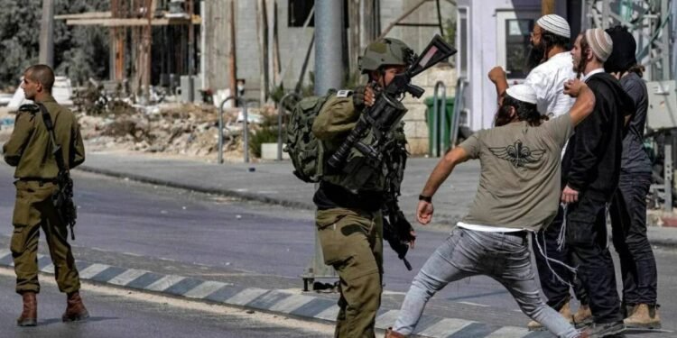 عنف المستوطنين تحت حماية الاحتلال.. تصعيد خطير في جنوب الخليل