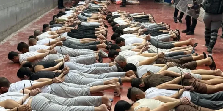 شهادات مروعة من «مجدو وعوفر».. تعذيب ممنهج وحرمان من الحياة الآدمية للأسرى