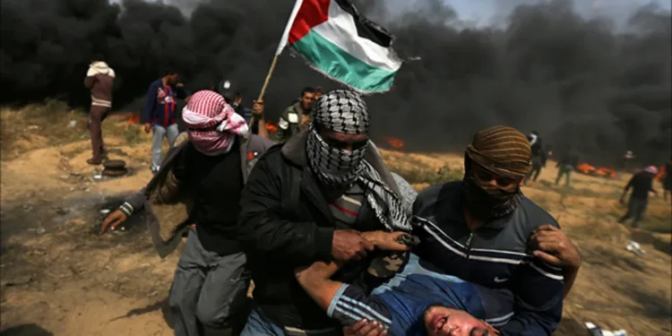 استهداف الشباب.. أرقام تكشف خطة الاحتلال لإضعاف المجتمع الفلسطيني