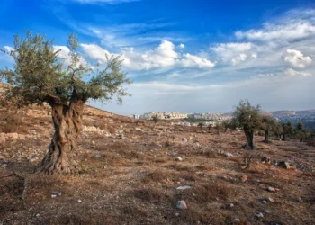 قرار عسكري جديد يطال أراضي المغير: استهداف للأرض تحت ذريعة الأمن