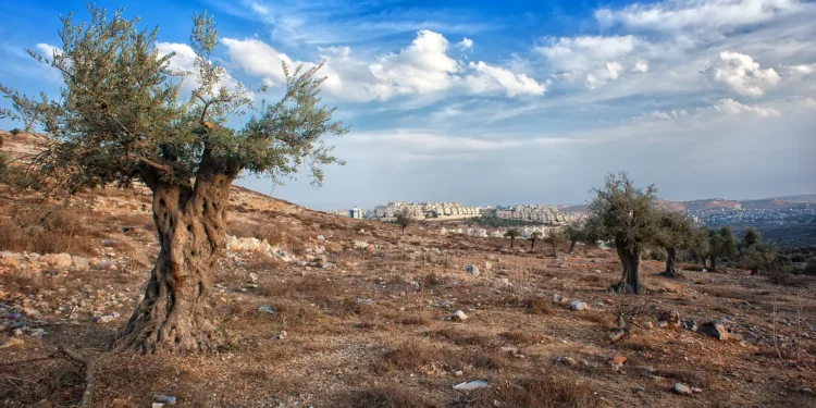 قرار عسكري جديد يطال أراضي المغير: استهداف للأرض تحت ذريعة الأمن