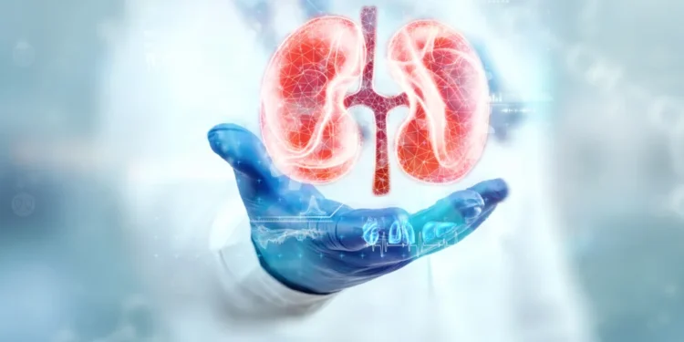 أعراض أمراض الكلى.. 5 علامات خفية يجب الانتباه لها