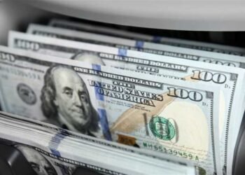 فكرة مشروع بسيطة تحقق أرباح خيالية