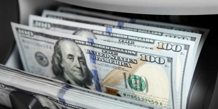 فكرة مشروع بسيطة تحقق أرباح خيالية