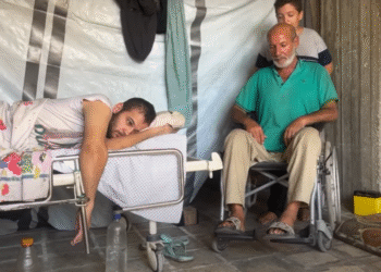 أب على كرسي متحرك يواجه الحرب.. قصة صمود أحمد حسين