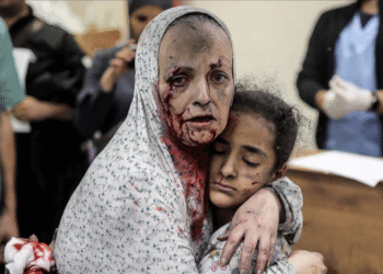 النساء والأطفال يدفعون الثمن الأكبر في حرب الإبادة على غزة