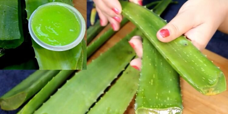 وصفات طبيعية من جل الصبار لبشرة مشرقة وصحية