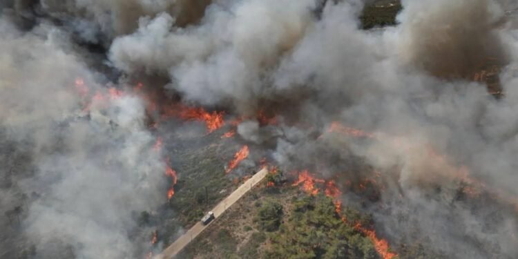 سوريا تواجه ألسنة اللهب.. السيطرة على 80% من حرائق جبل التركمان بريف اللاذقية